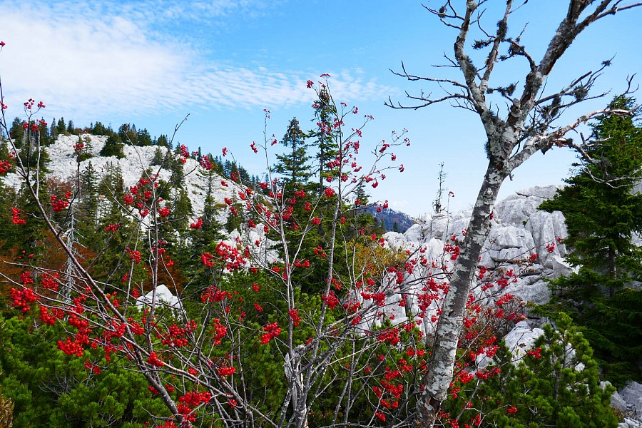 Velebit 03 Velebit 03